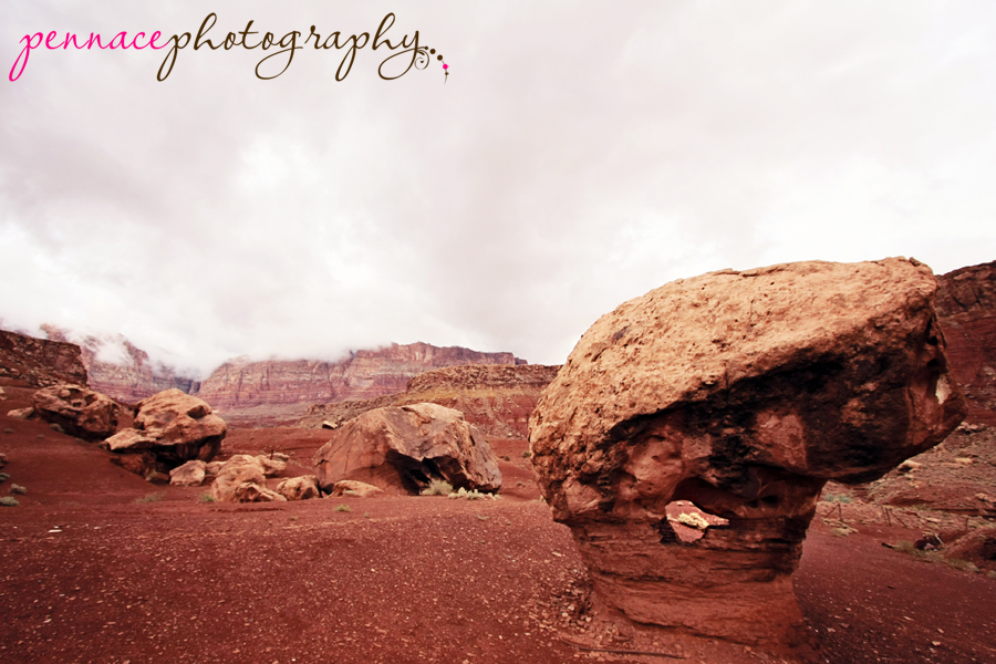 Cliff Dwellers
